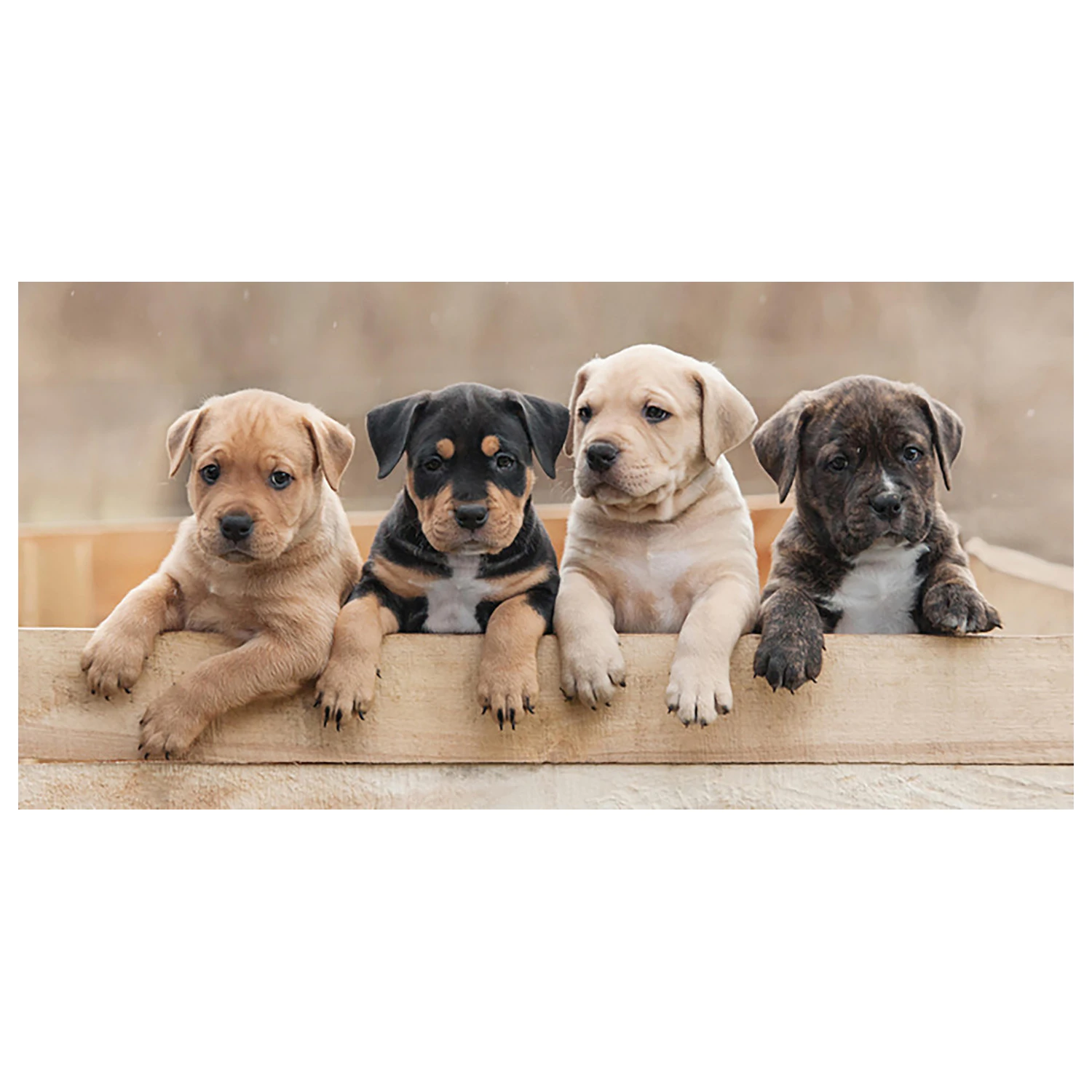Dog Team towel product photo