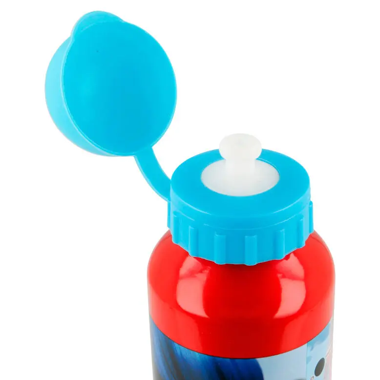 Ladybug aluminium canteen product photo