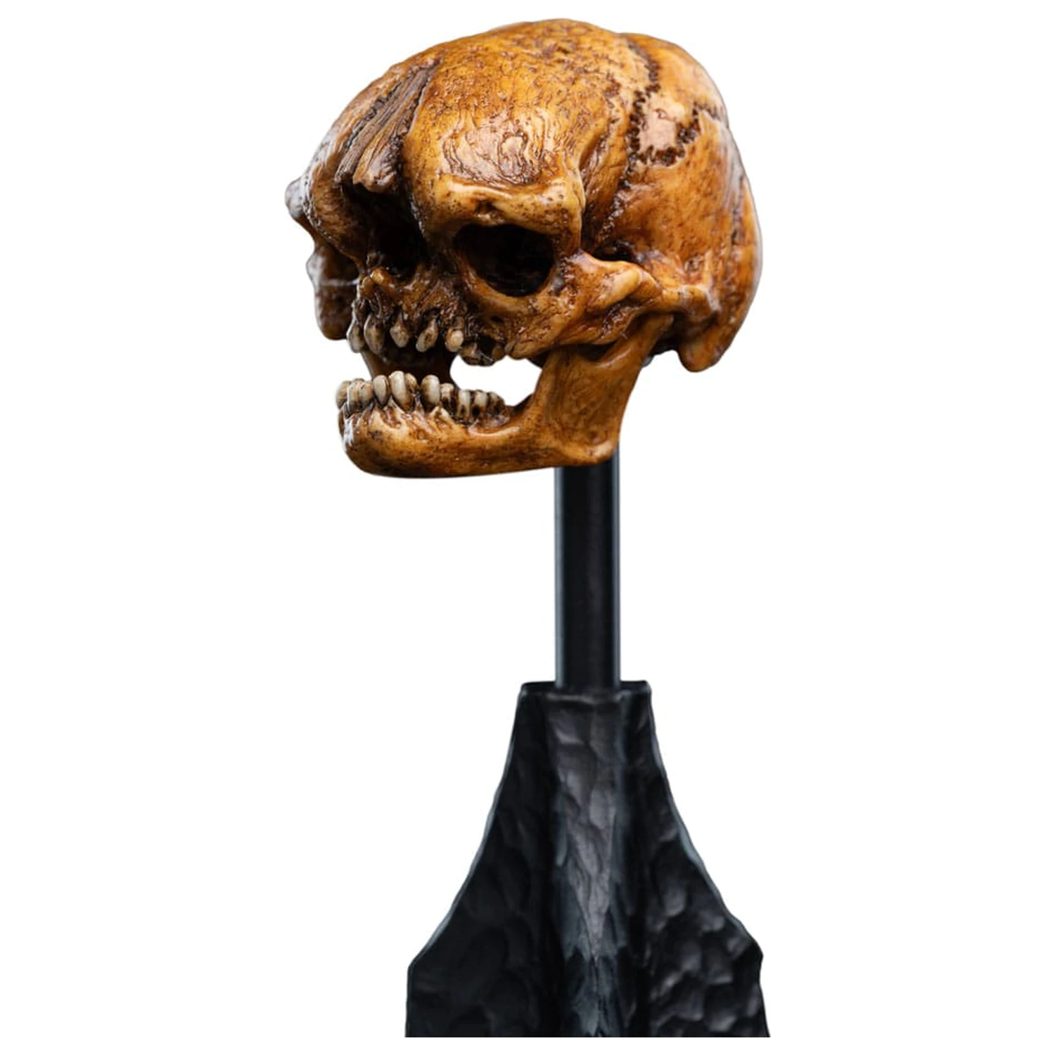 Lord of the Rings Mini Statue Skull of a Misty Mountain Goblin 14 cm product photo
