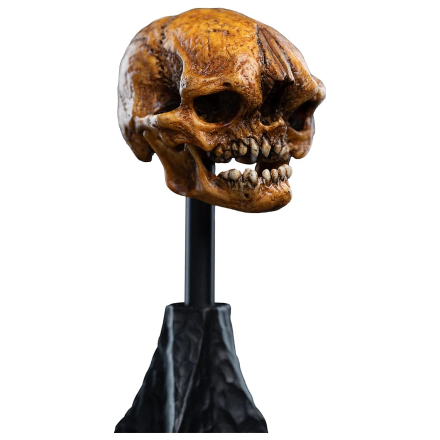 Lord of the Rings Mini Statue Skull of a Misty Mountain Goblin 14 cm product photo