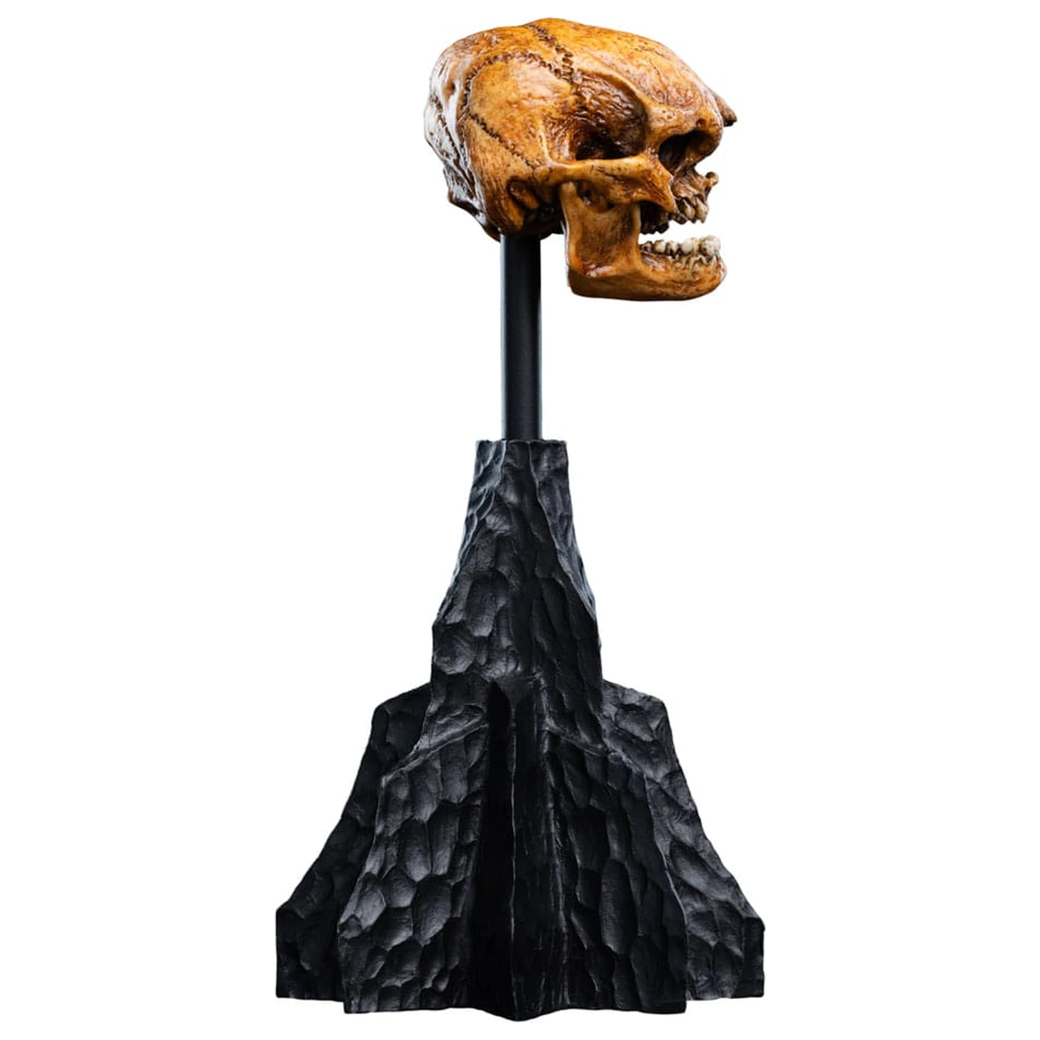 Lord of the Rings Mini Statue Skull of a Misty Mountain Goblin 14 cm product photo