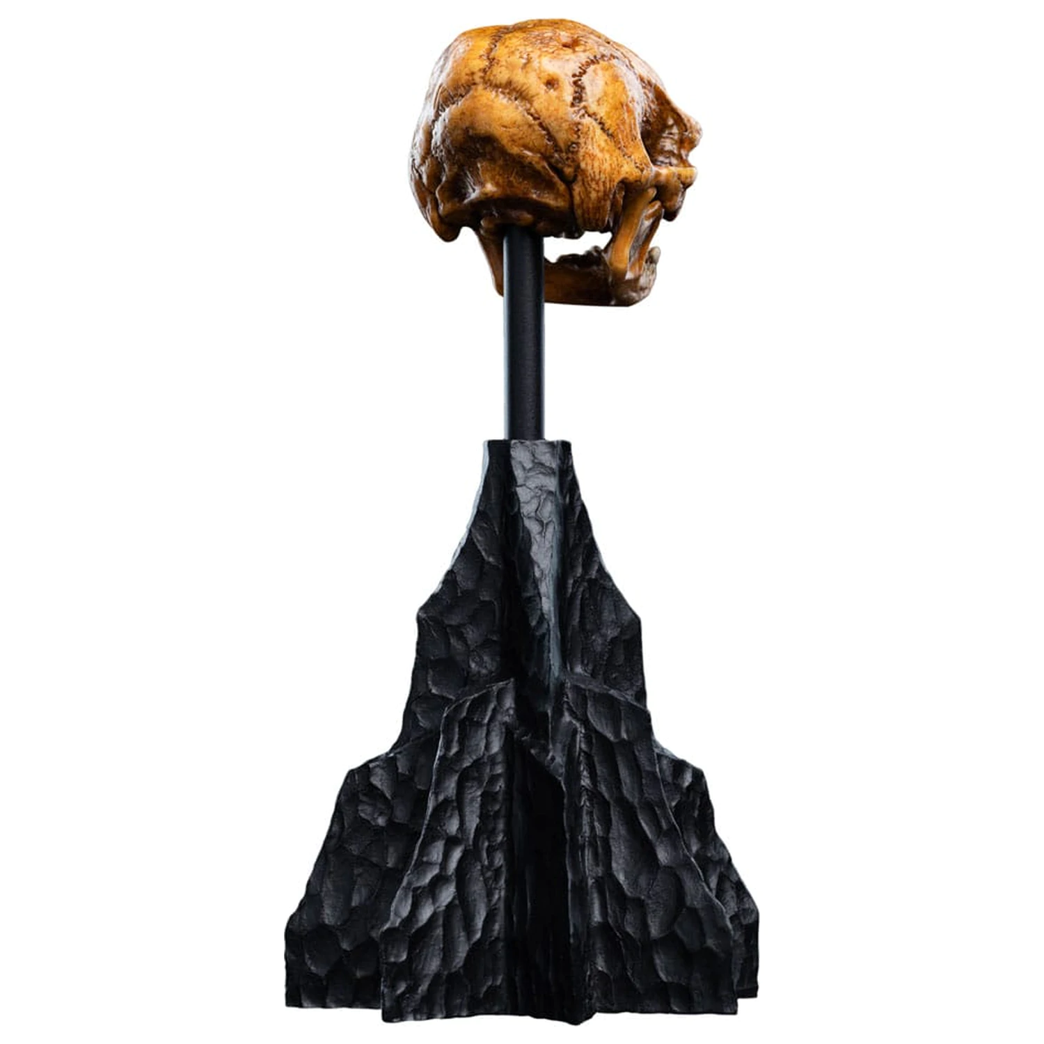 Lord of the Rings Mini Statue Skull of a Misty Mountain Goblin 14 cm product photo