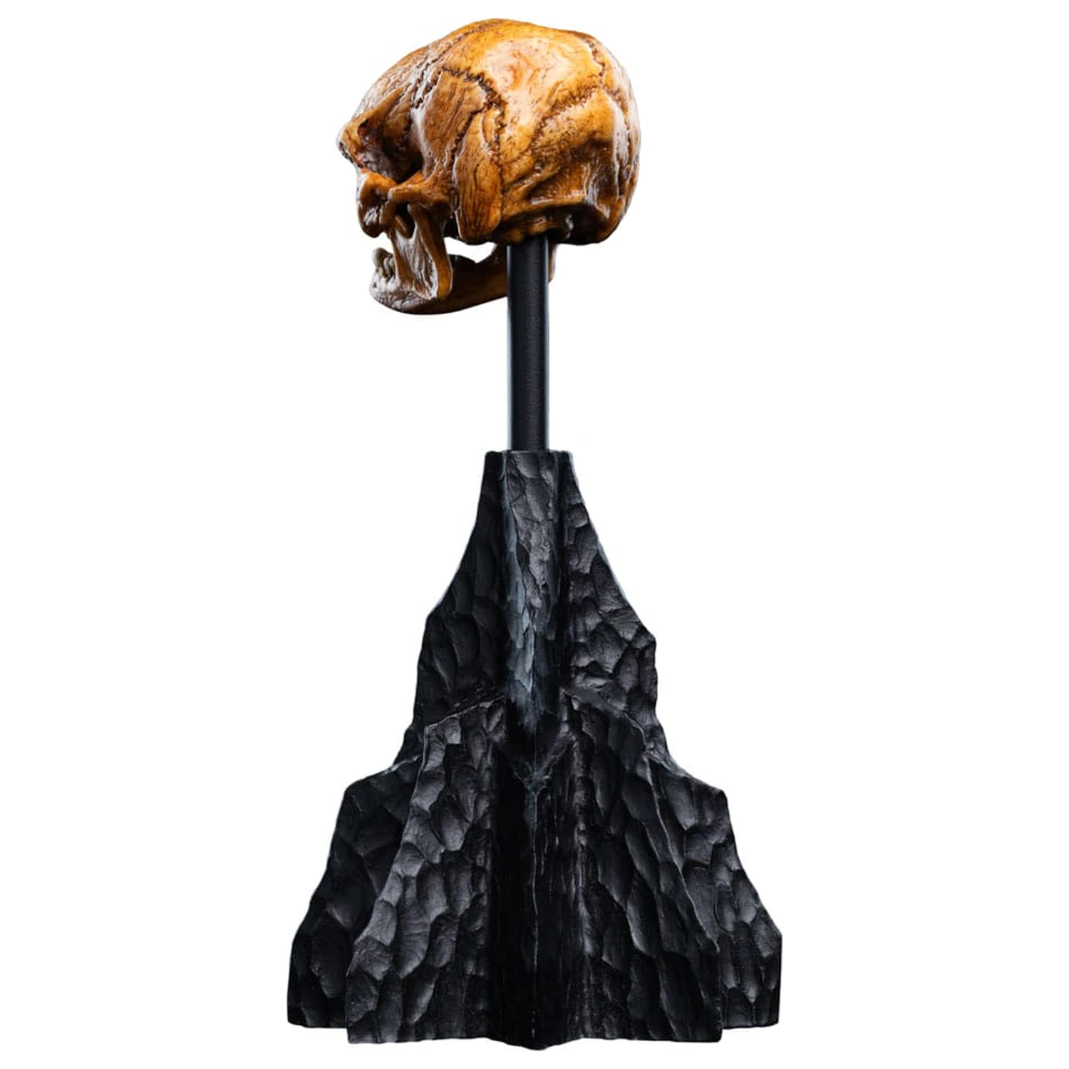 Lord of the Rings Mini Statue Skull of a Misty Mountain Goblin 14 cm product photo