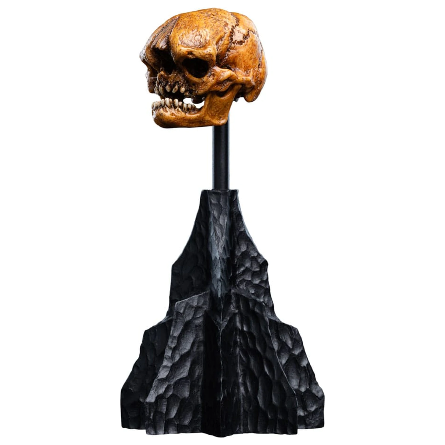 Lord of the Rings Mini Statue Skull of a Misty Mountain Goblin 14 cm product photo