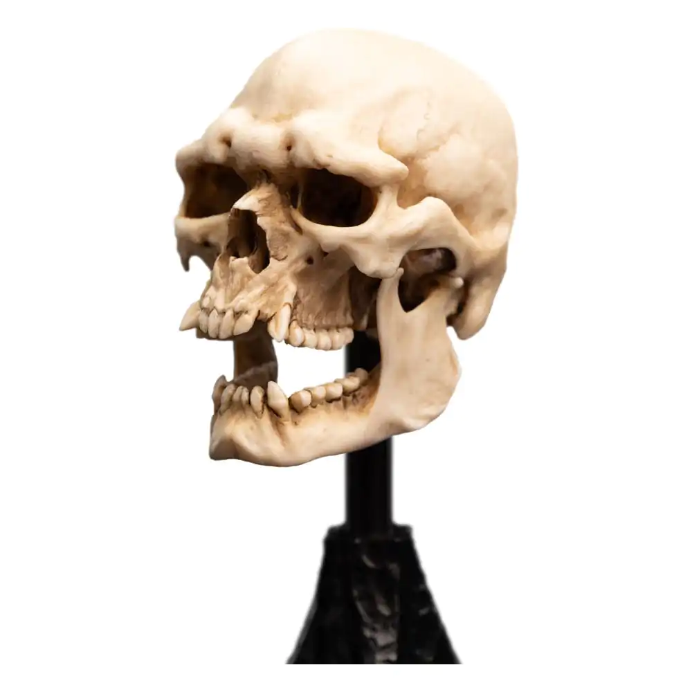 Lord of the Rings Mini Statue Skull of a Mordor Orc 14 cm product photo