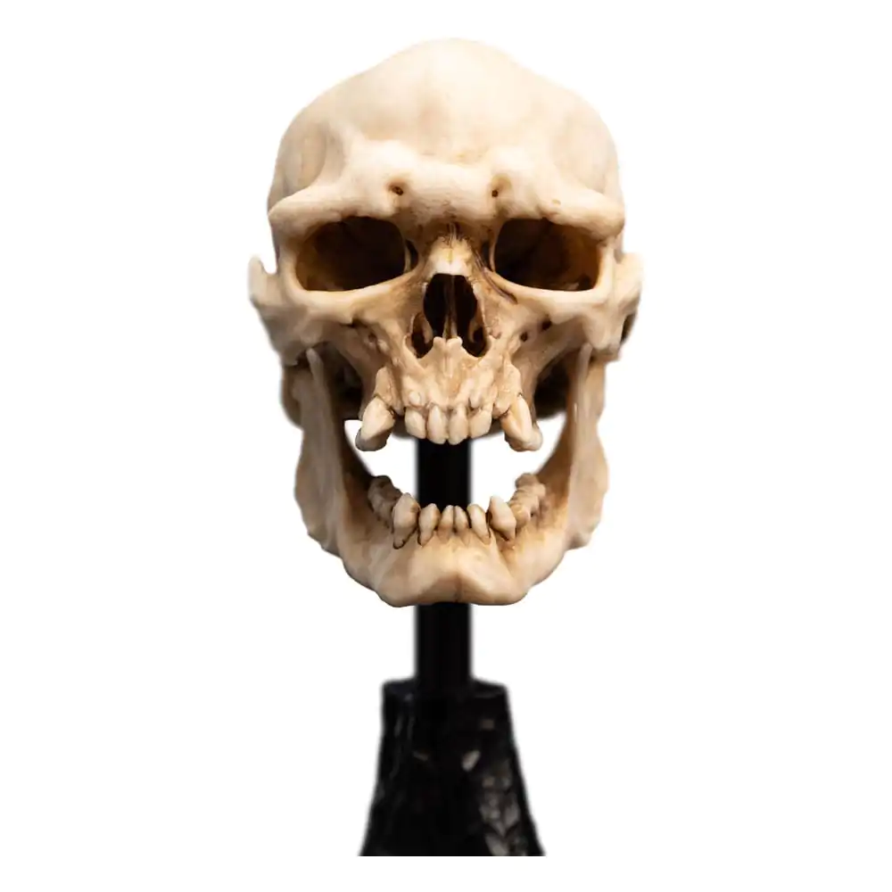 Lord of the Rings Mini Statue Skull of a Mordor Orc 14 cm product photo