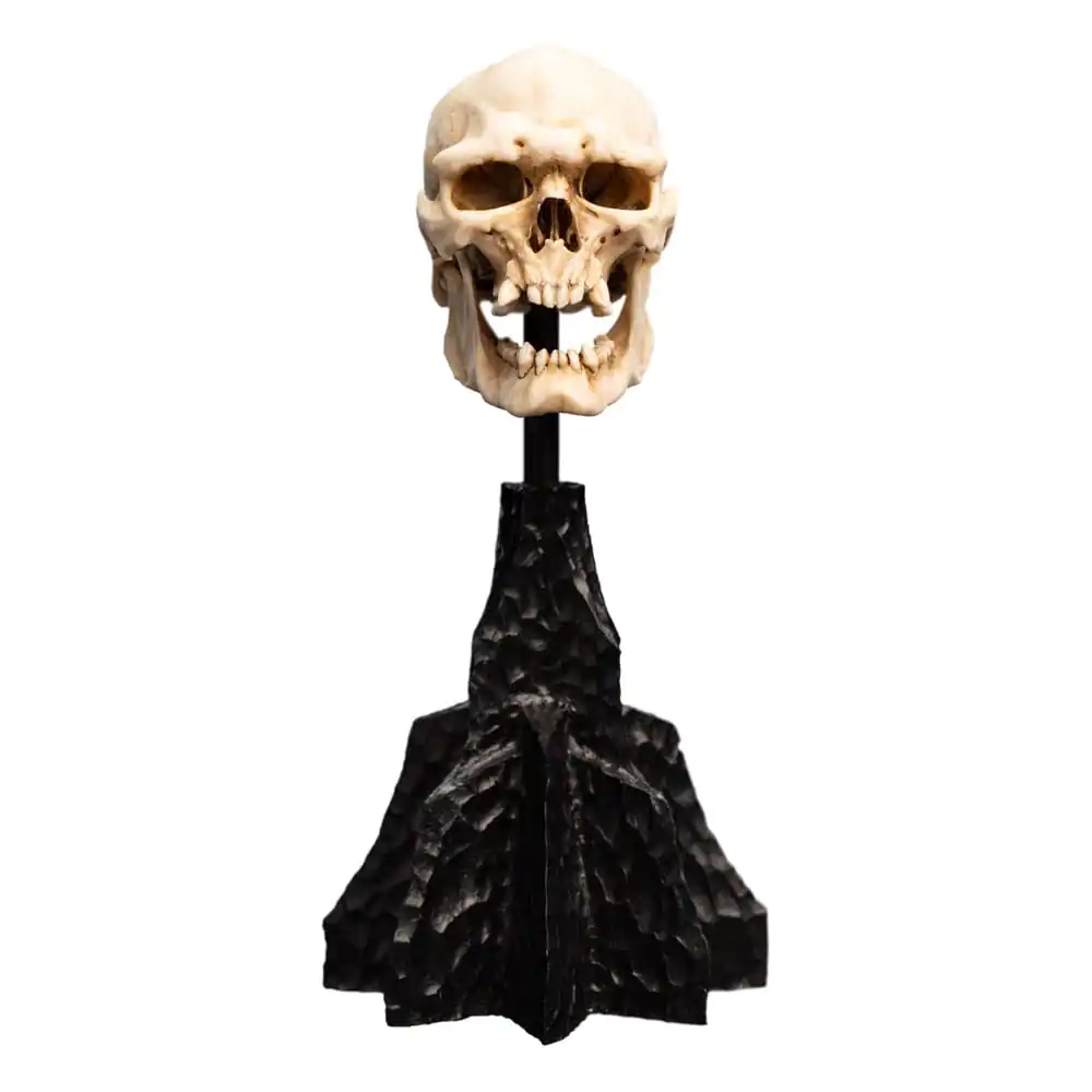 Lord of the Rings Mini Statue Skull of a Mordor Orc 14 cm product photo