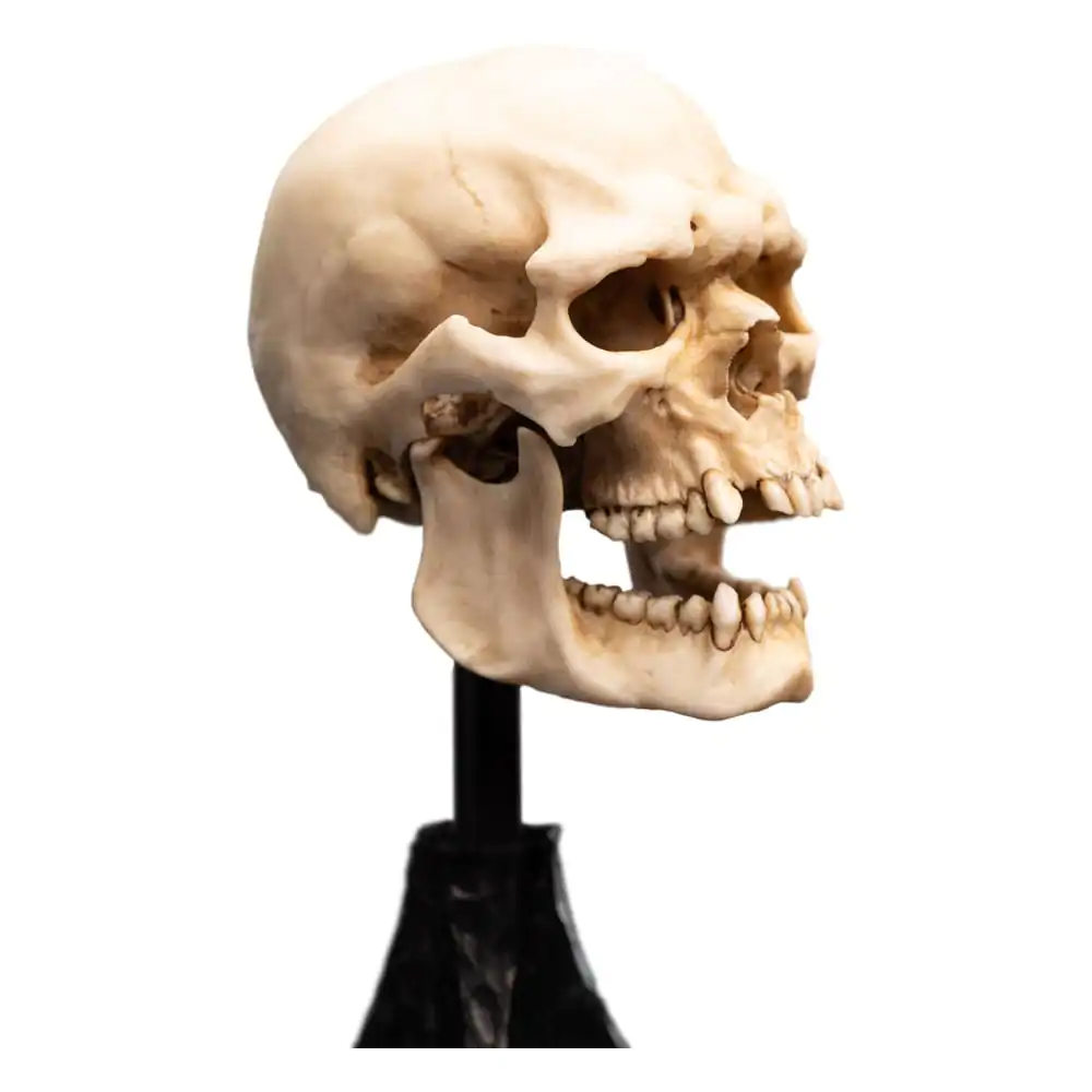 Lord of the Rings Mini Statue Skull of a Mordor Orc 14 cm product photo