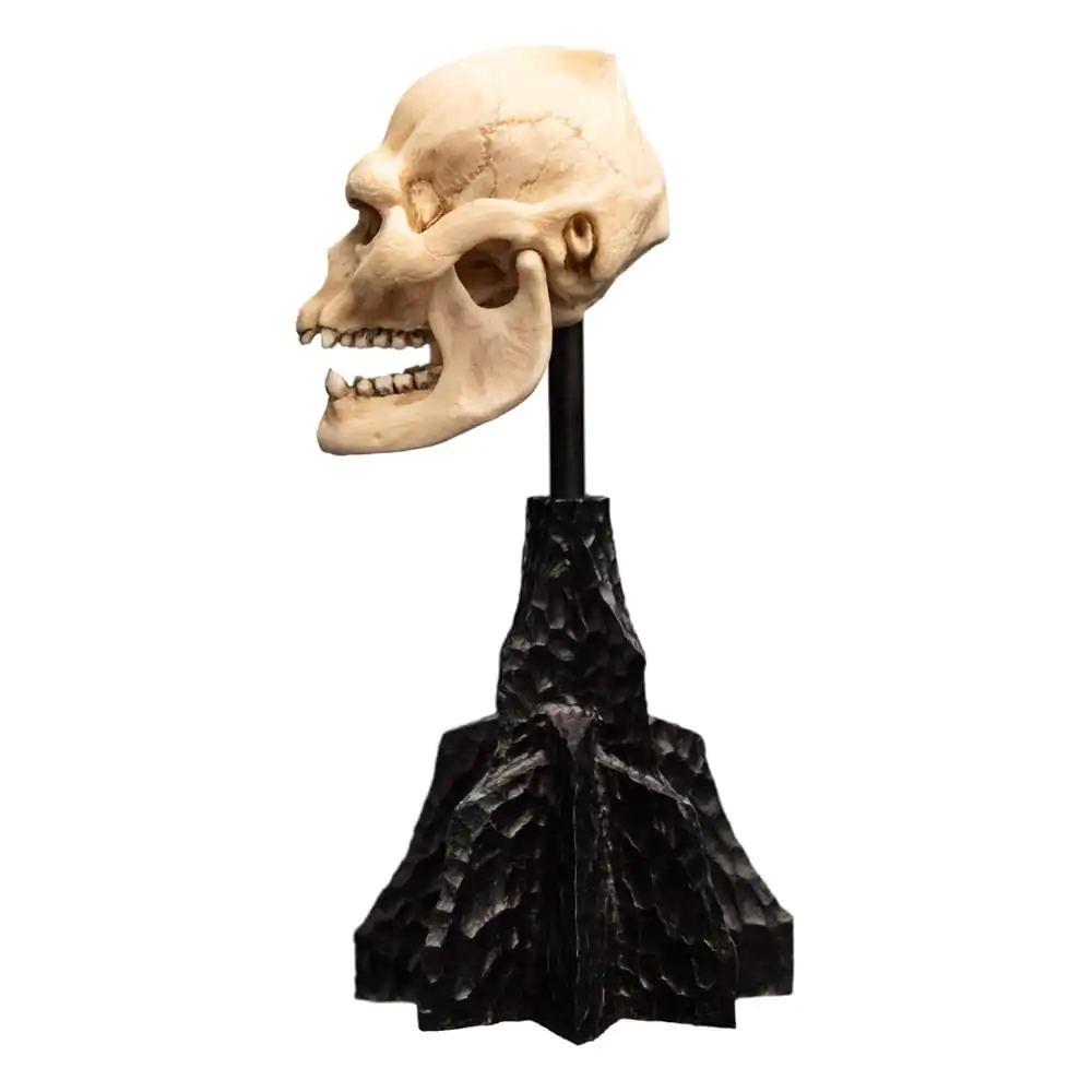 Lord of the Rings Mini Statue Skull of Lurtz 14 cm termékfotó