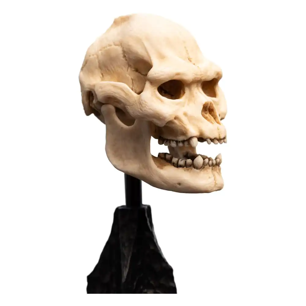 Lord of the Rings Mini Statue Skull of Lurtz 14 cm termékfotó