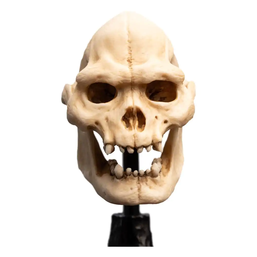 Lord of the Rings Mini Statue Skull of Lurtz 14 cm termékfotó