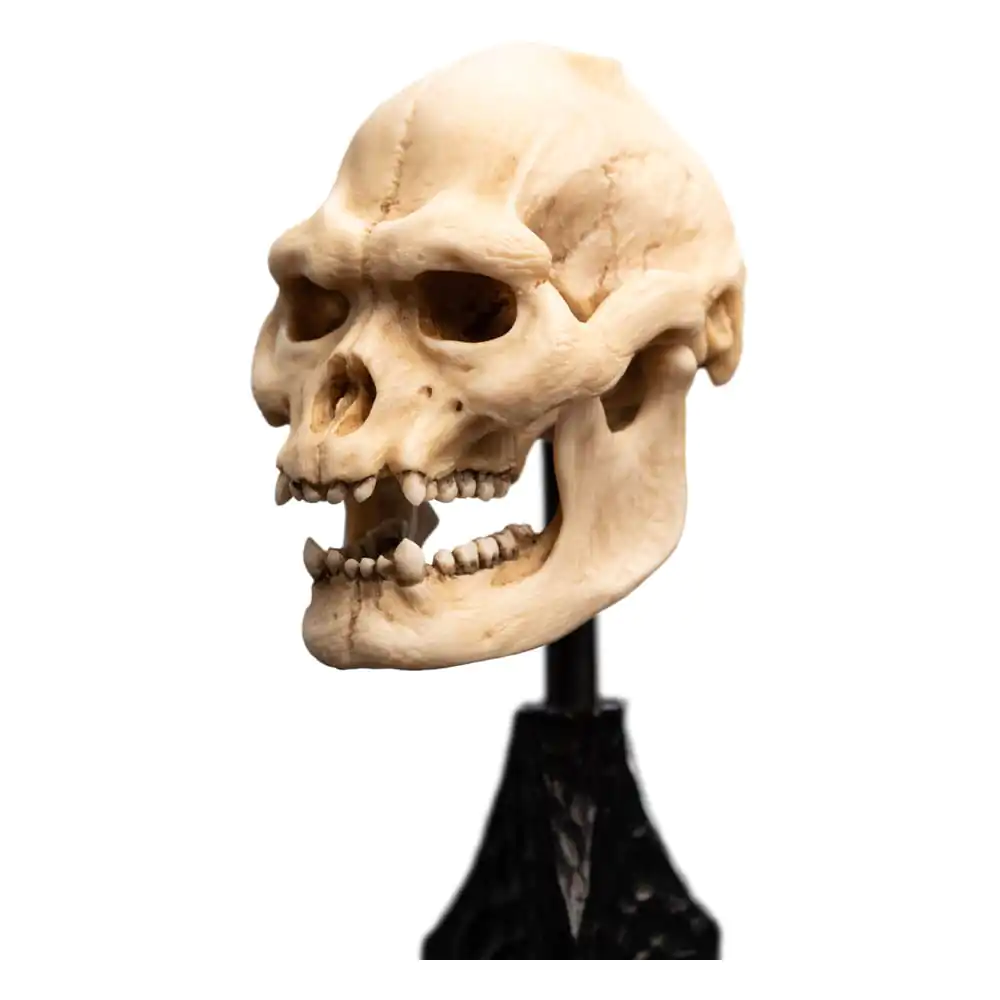 Lord of the Rings Mini Statue Skull of Lurtz 14 cm termékfotó