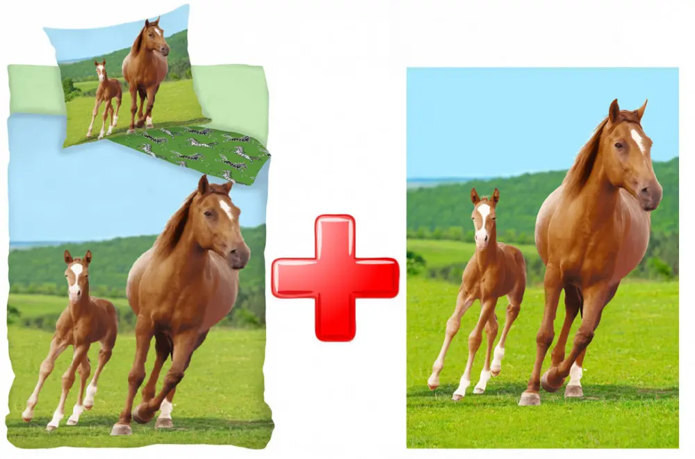 Equestrian Duvet Cover and Fleece Blanket Set product photo