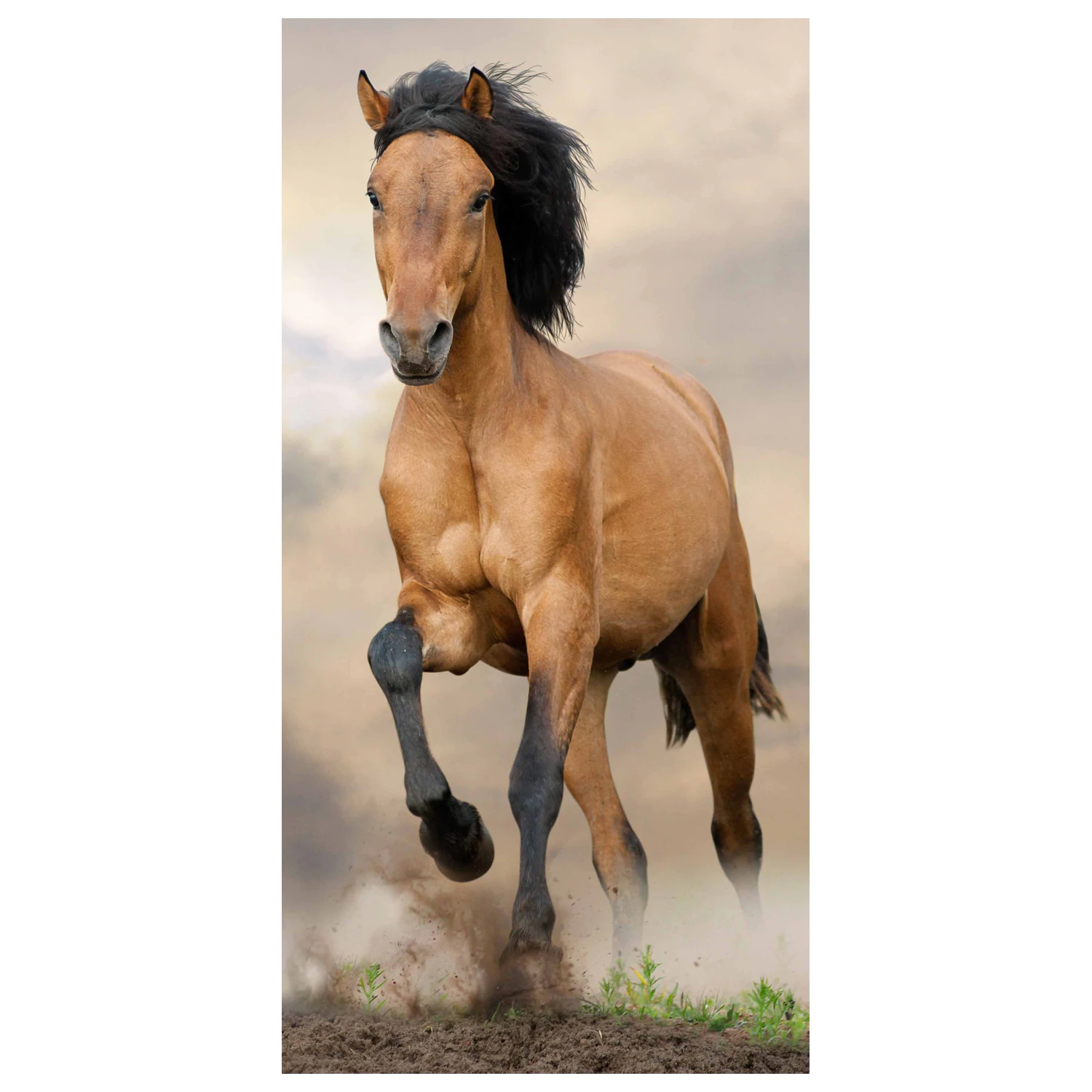 Equestrian Brown towel product photo