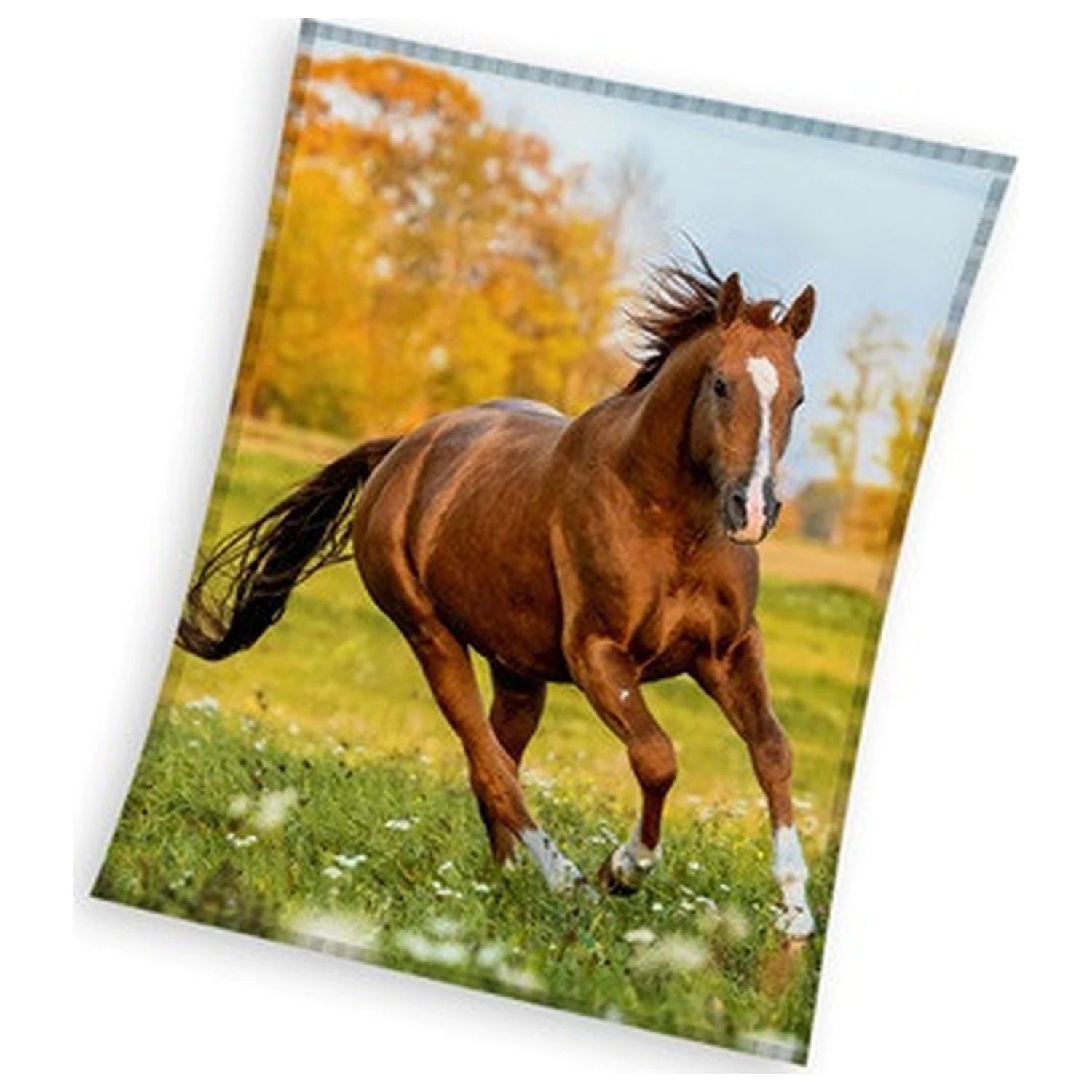 Horse Gallop fleece blanket product photo