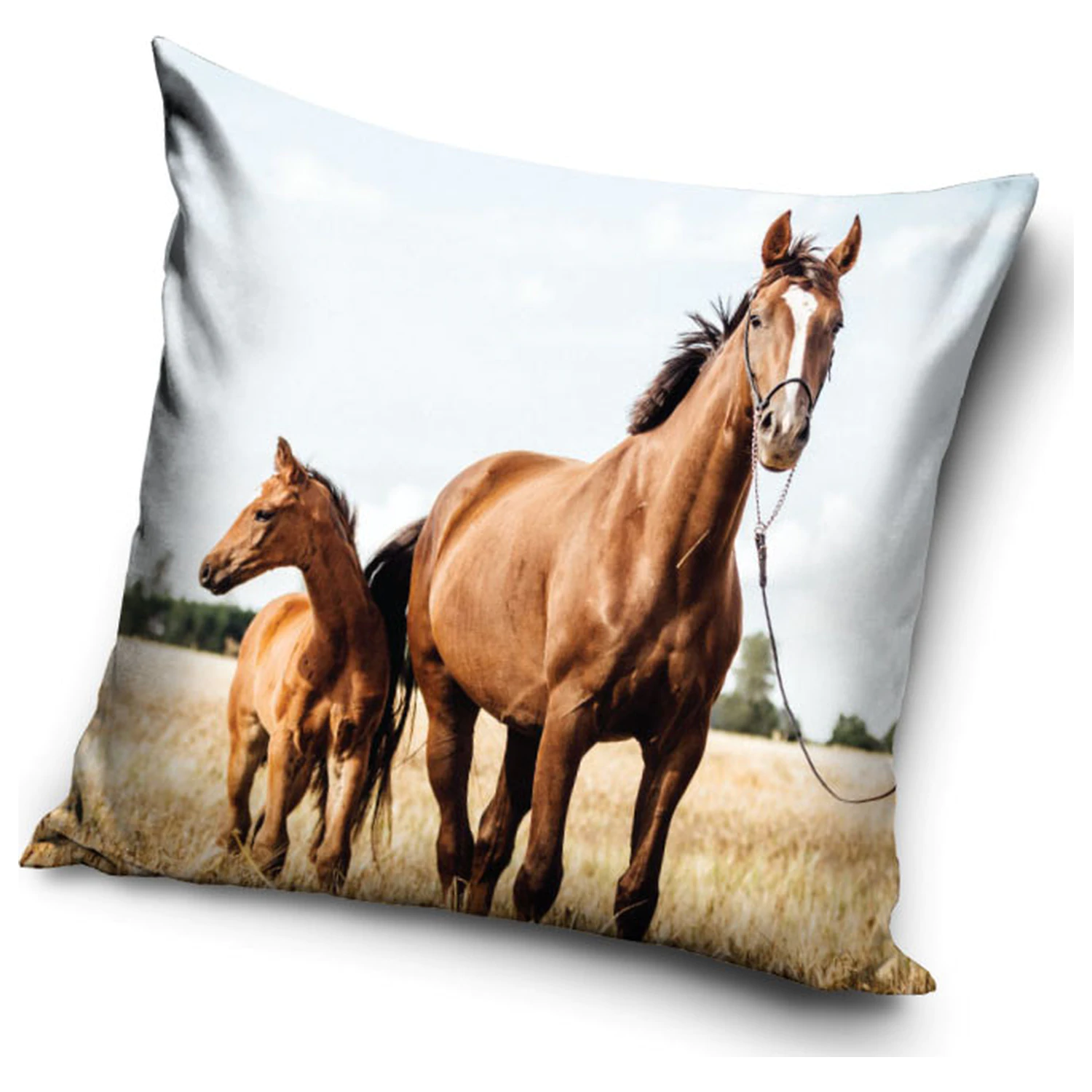 Rider Loyal Hearts Pillowcase product photo