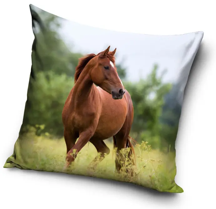 Horse Riding Pillowcase 40*40 cm product photo