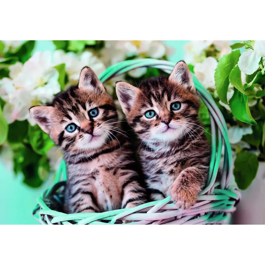 Lovely Kitty Twins puzzle 60pcs product photo