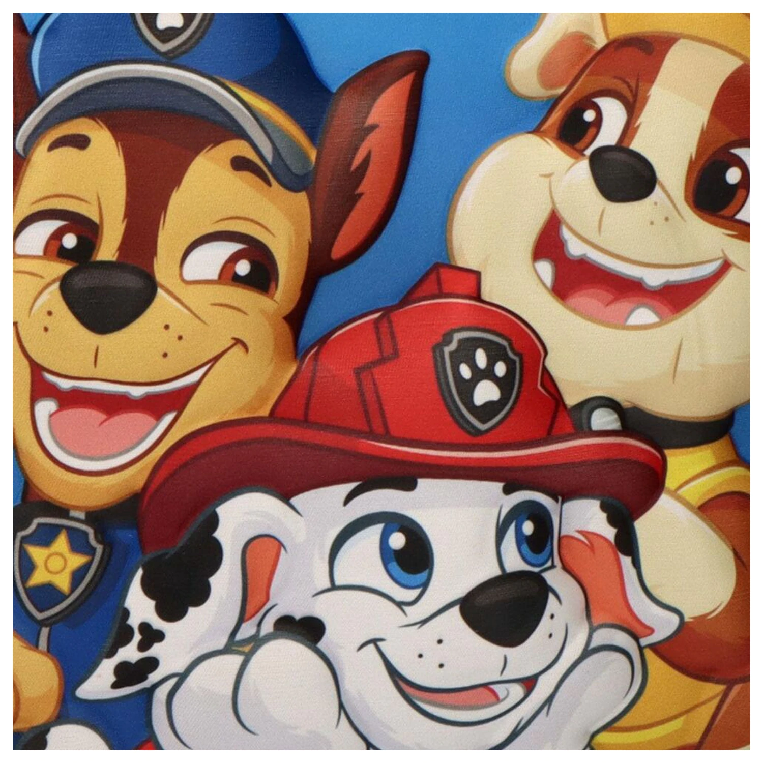 Paw Patrol 3D lunch bag product photo