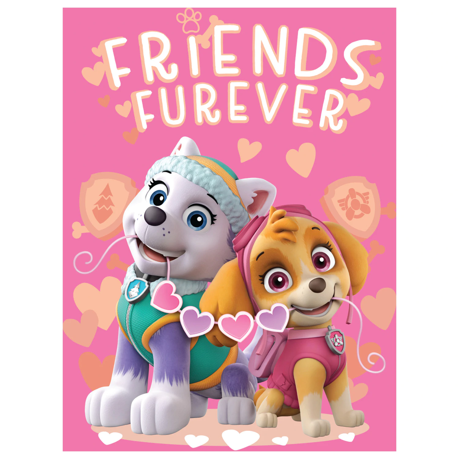 PAW Patrol Friends Furever Fleece Blanket product photo