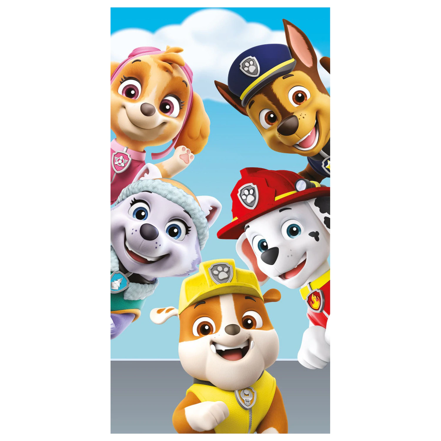 Paw Patrol Happy Glance towel product photo