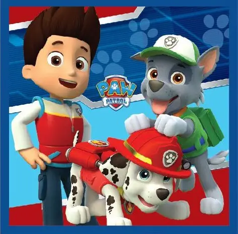 PAW Patrol Magic Hand Towel Face Towel, Towel 30*30cm product photo