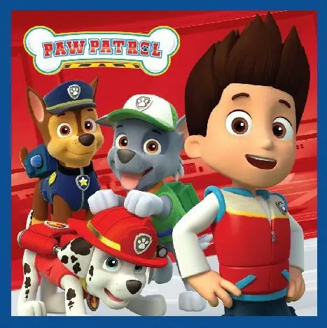 Paw Patrol Magic Hand Towel Face Towel, Towel 30x30cm product photo