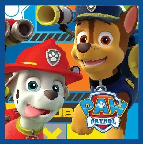 Paw Patrol Magical Hand and Face Towel, Towel 30*30cm product photo