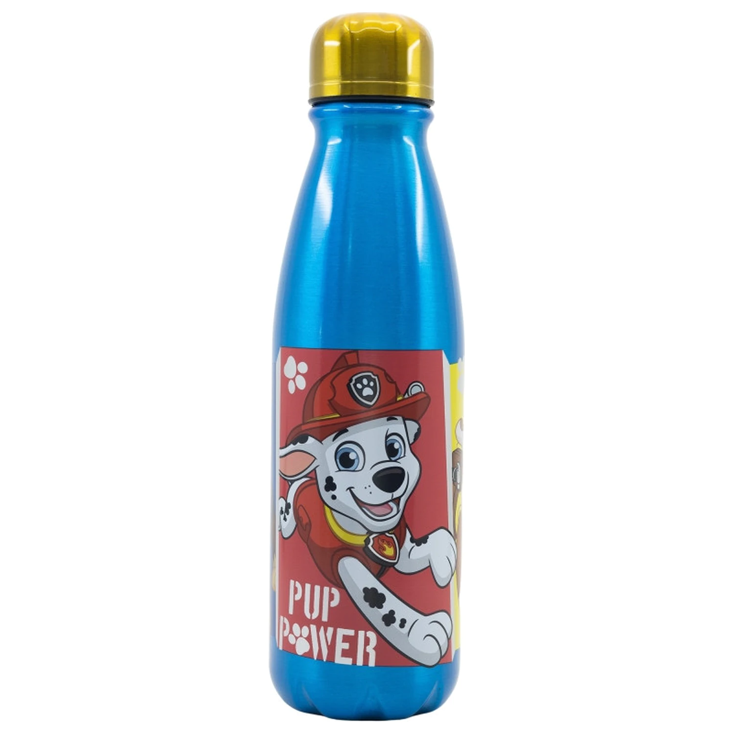 PAW Patrol Pup Power Aluminum Water Bottle with Screw Cap 600ml product photo