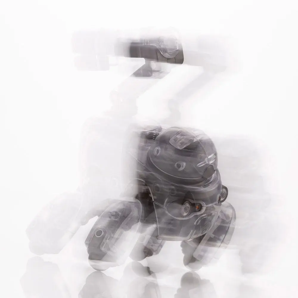 Maruttoys Plastic Model Kit 1/12 Tamotu (Skeleton Version) 8 cm product photo