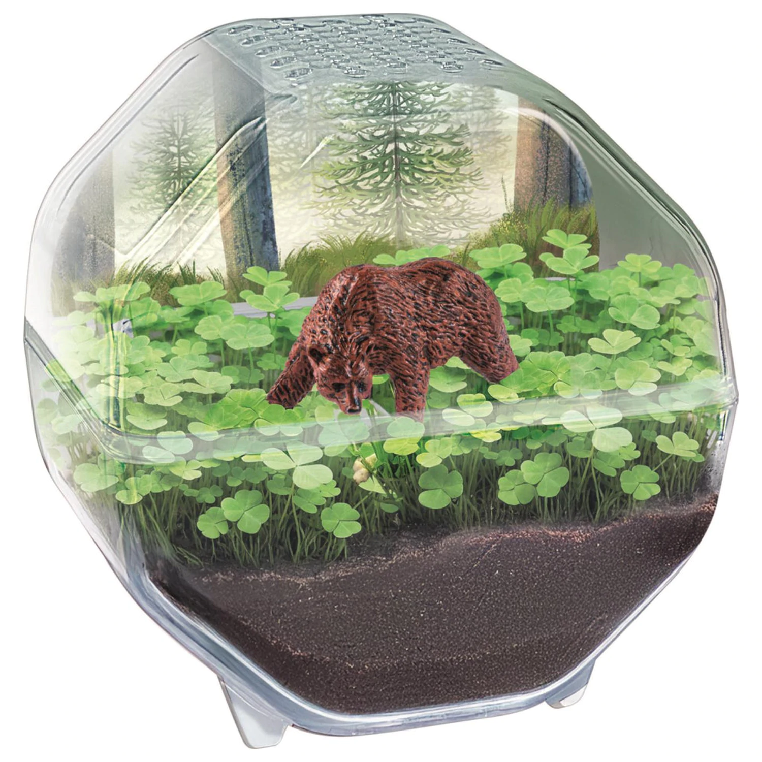 Mini Bear Terrarium product photo