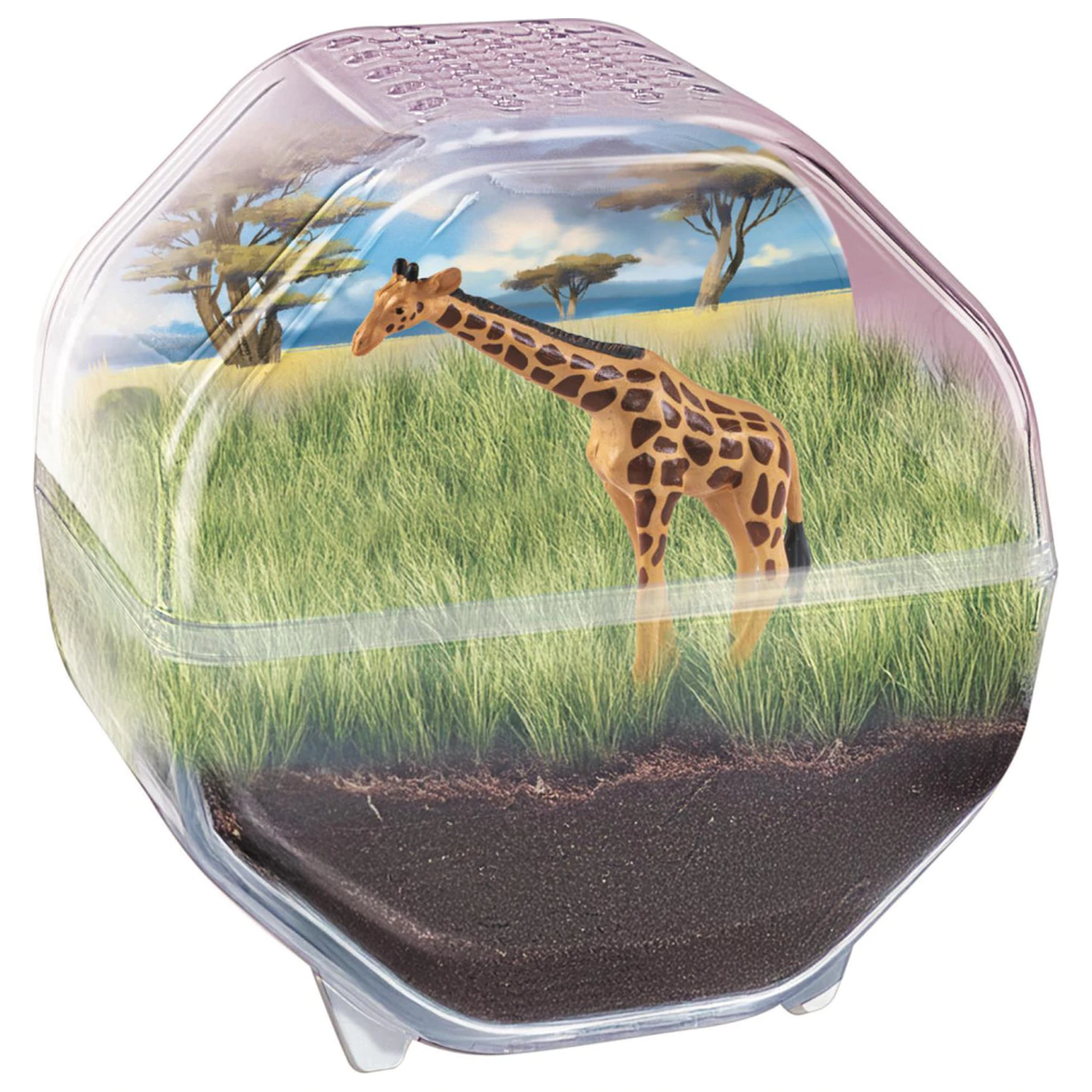 Mini Giraffe terrarium product photo
