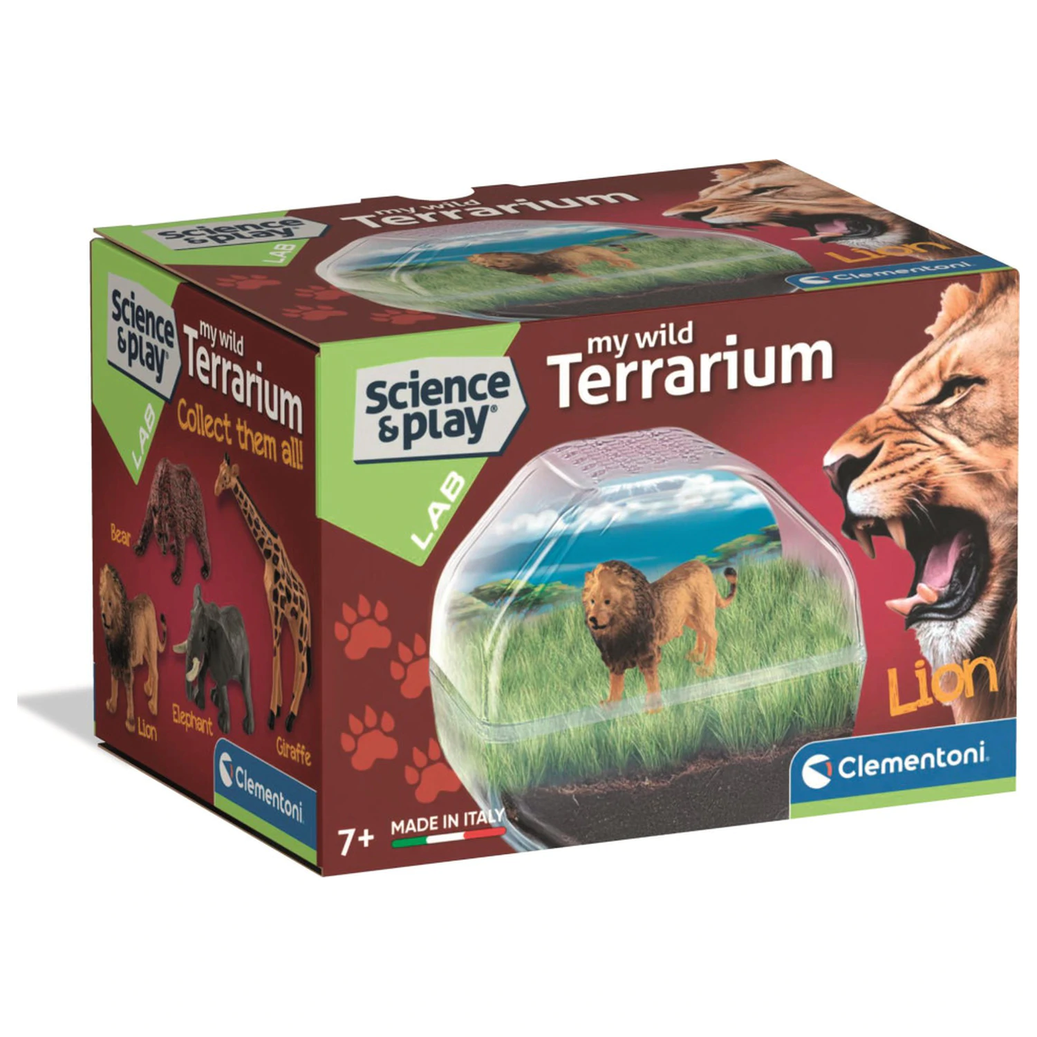 Mini Lion terrarium product photo