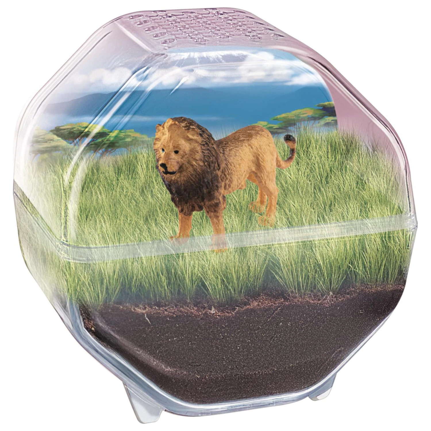 Mini Lion terrarium product photo