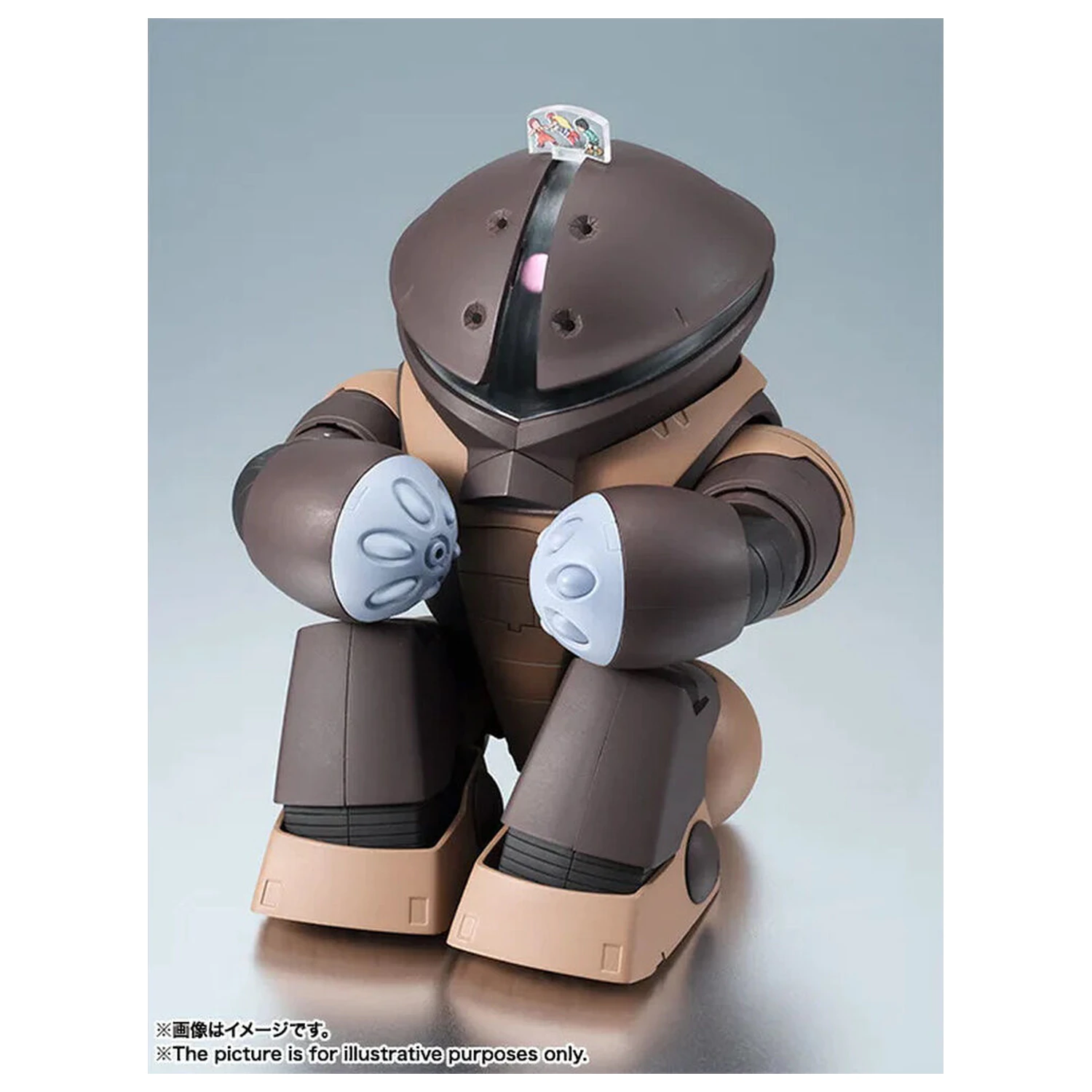 Mobile Suit Gundam The Robot Spirits Side MS MSM-04 Acguy ver. A.N.I.M.E. figure 13cm product photo