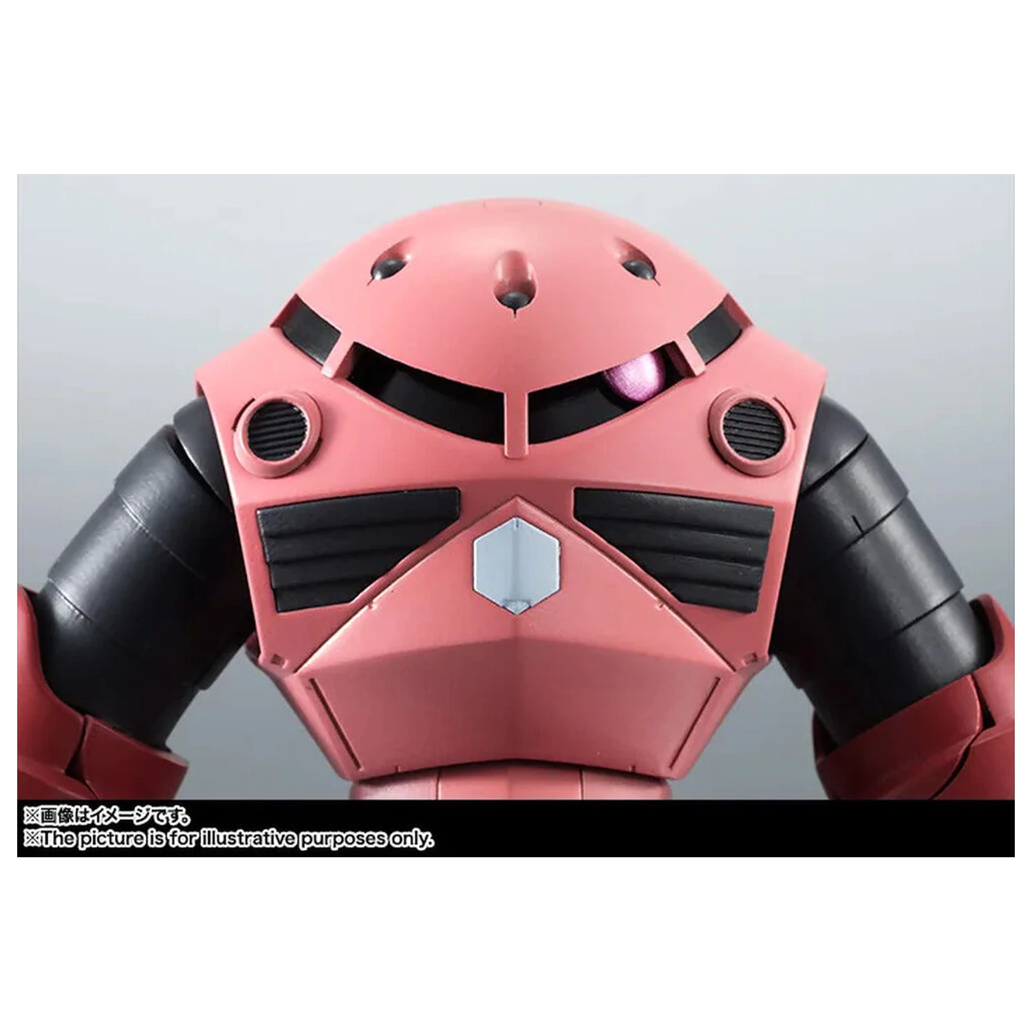 Mobile Suit Gundam The Robot Spirits Side MS MSM-07S Z'Gok ver. A.N.I.M.E. figure 13cm product photo