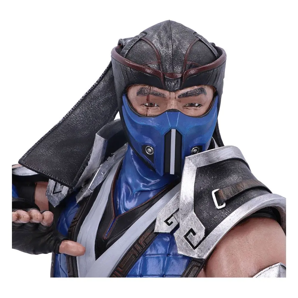 Mortal Kombat Bust Sub-Zero 30 cm product photo