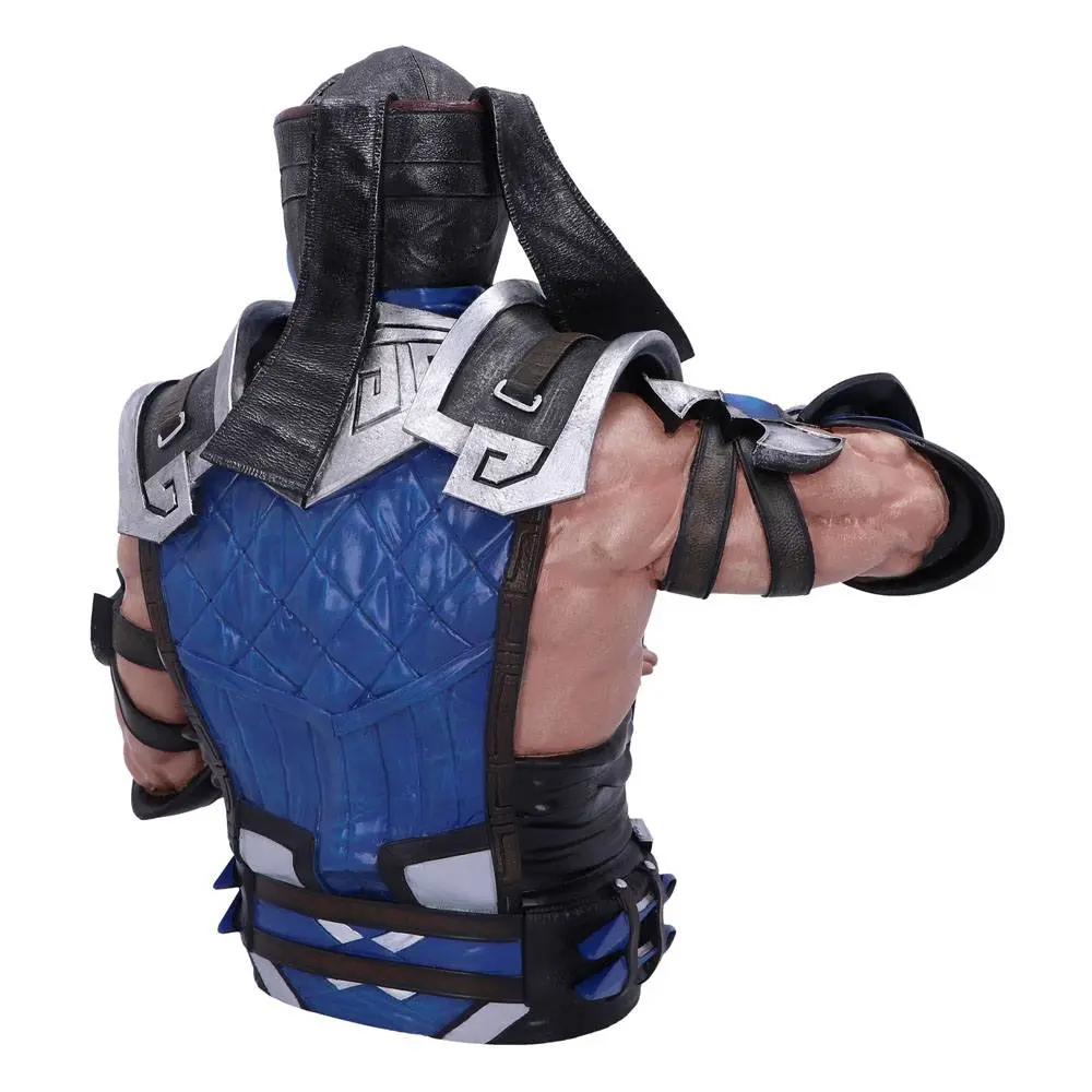 Mortal Kombat Bust Sub-Zero 30 cm product photo