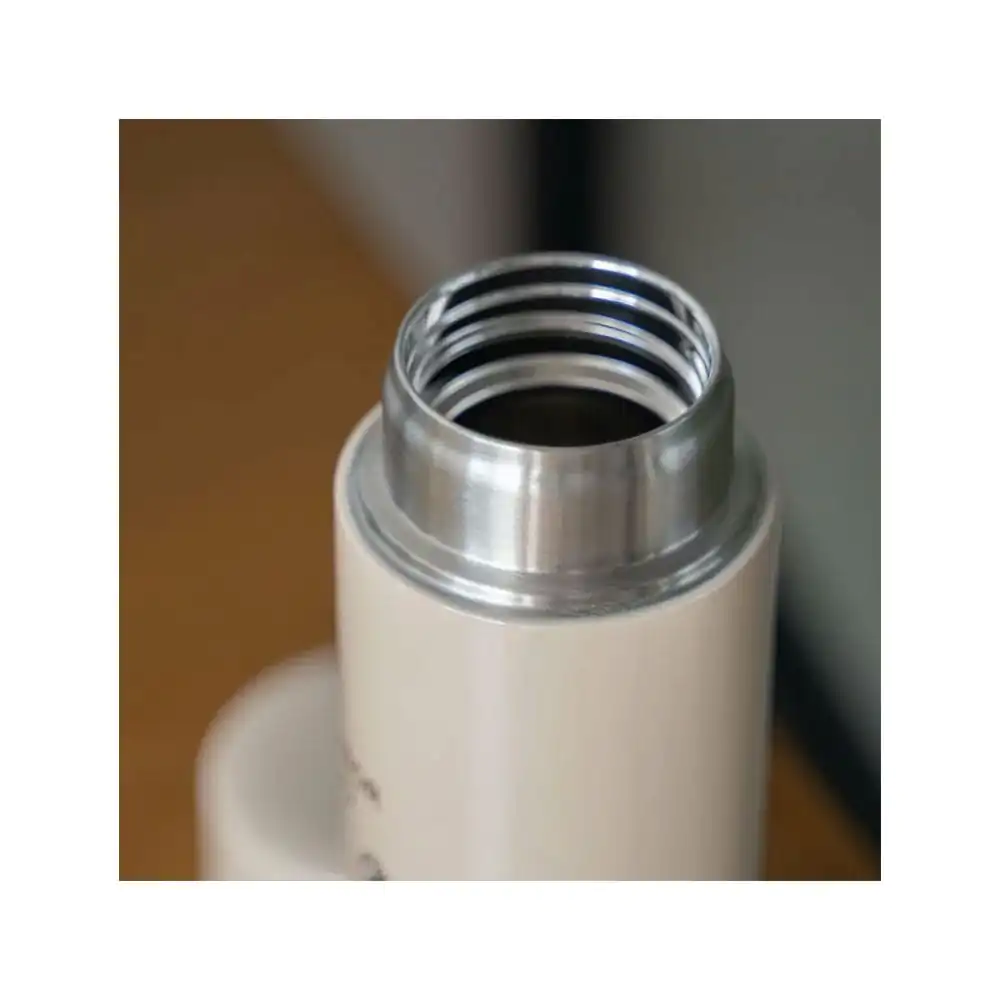 My Neighbor Totoro Water Bottle Forest stroll 300ml product photo