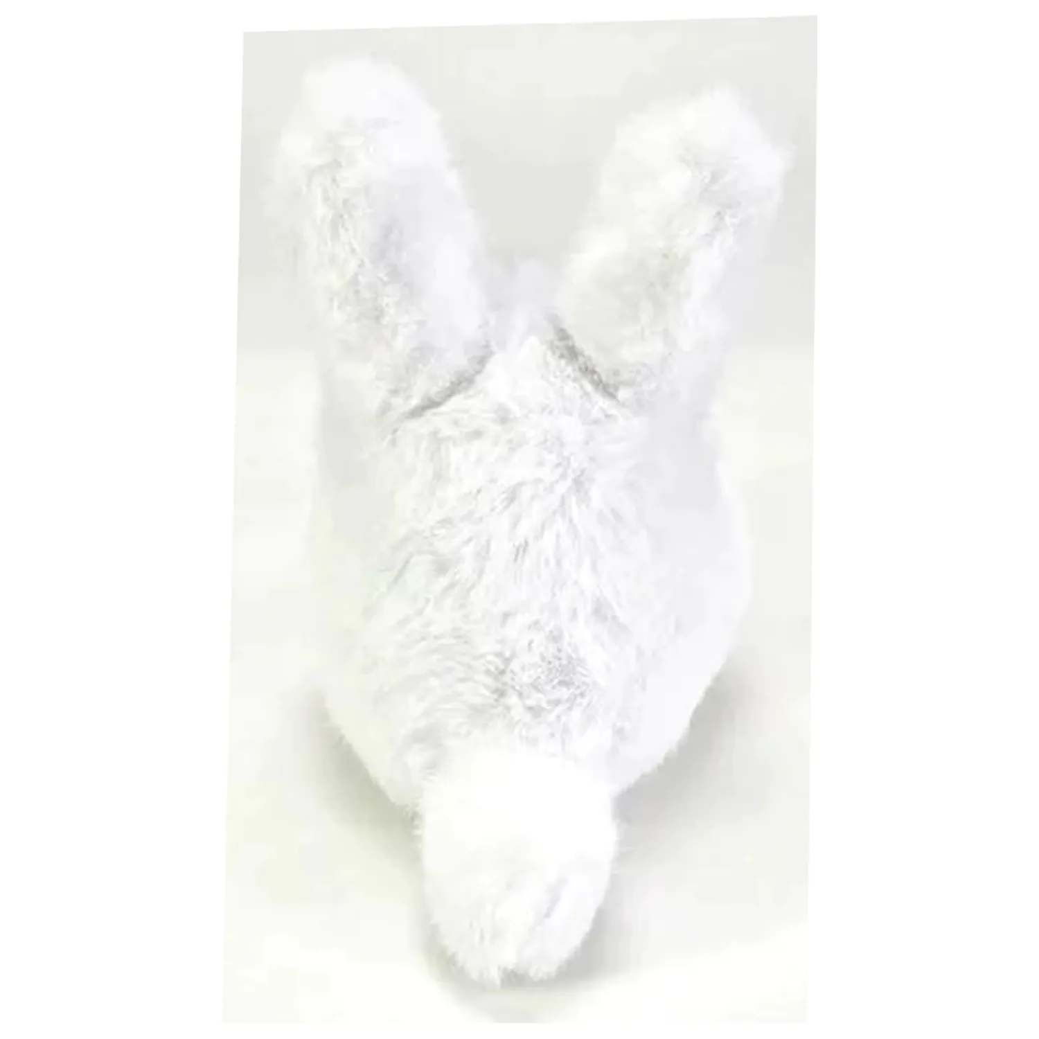My Neighbor Totoro White Totoro Komorebi Plush 16.5cm product photo
