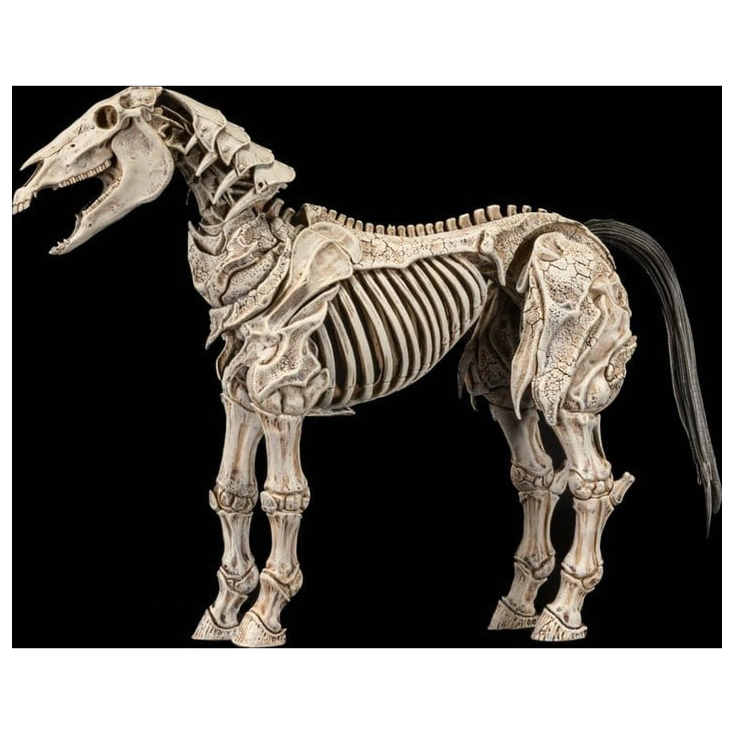 Mythic Legions: Reinforcement 3 Action Figure Skeleton Steed Legion Builder product photo