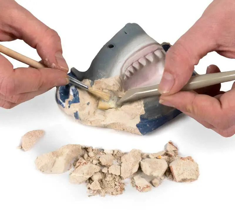 National Geographic Excavate and Discover shark tooth product photo