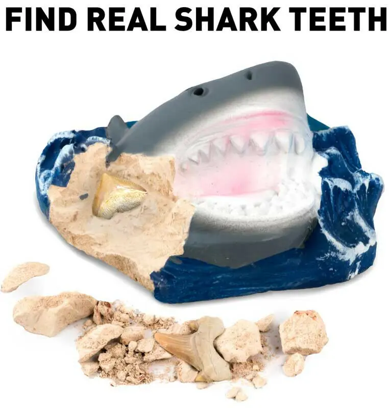 National Geographic Excavate and Discover shark tooth product photo