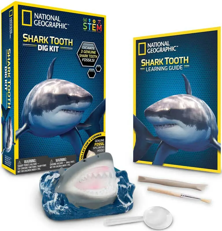 National Geographic Excavate and Discover shark tooth product photo