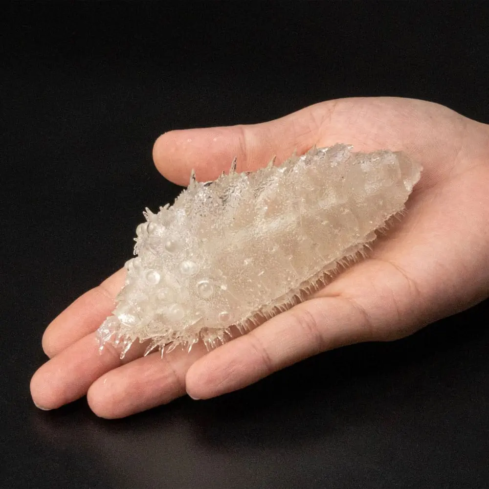 Nausicäa Statue PVC Oumu Clear Ver. 11 cm product photo