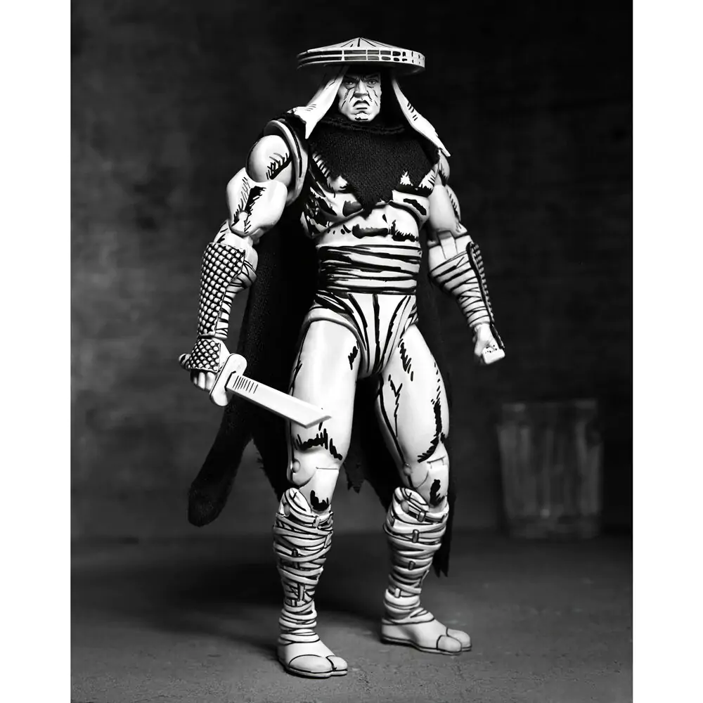 Ninja Turtles Teenage Mutant Foot Elite Assassin Black &amp; White figure 18cm product photo