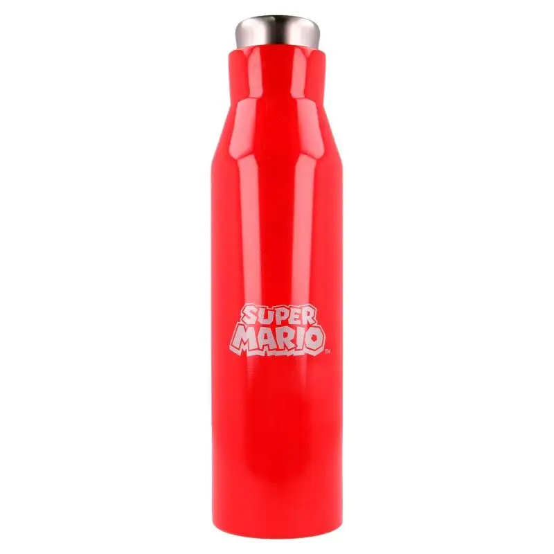 Nintendo Super Mario Bros stainless steel bottle 580ml product photo