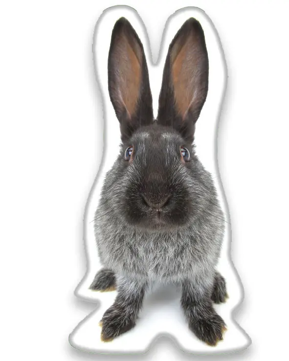 Bunny Shaped Pillow, Decorative Pillow 22*36 cm product photo