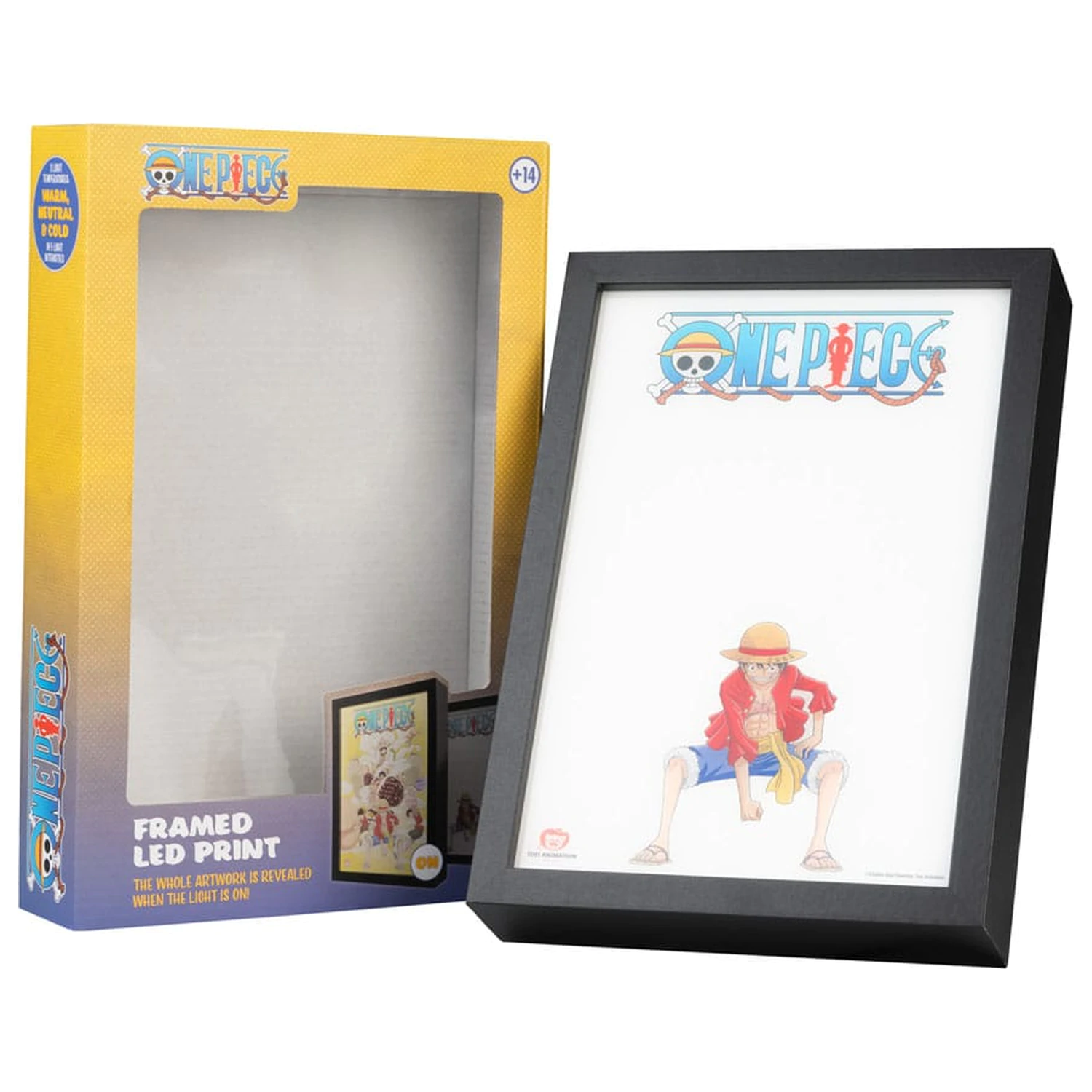 One Piece Framed LED Print product photo