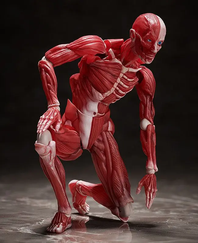 Original Character Figma Action Figure Human Anatomical Model 15 cm product photo